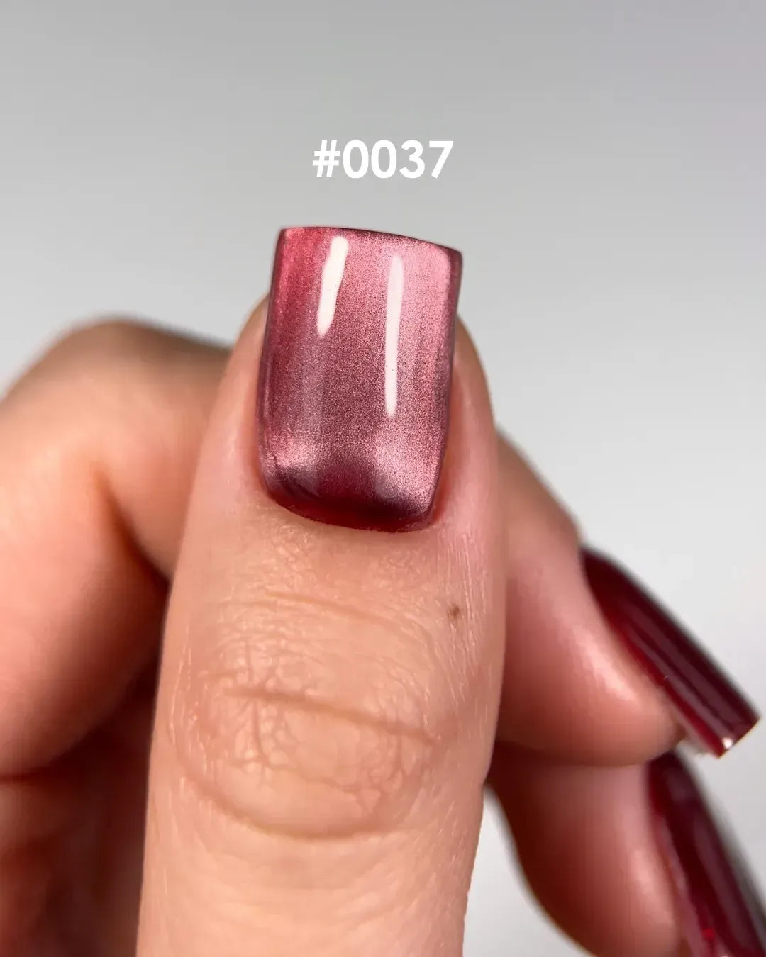 DNKa' Gel Polish Cat's Eye Silk #0037, 12 мл