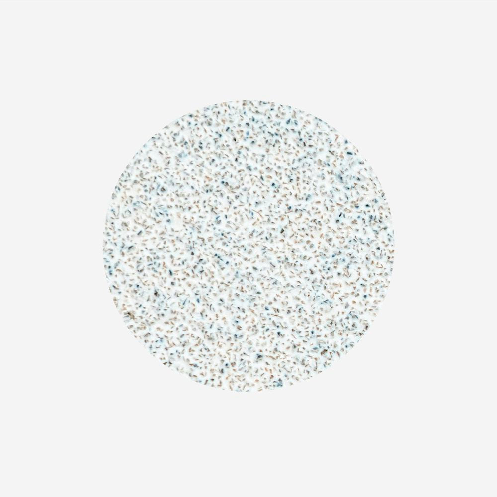 Disposable white files on soft foam layer for pedicure disc PODODISC L EXPERT 80 grit (50 pcs
